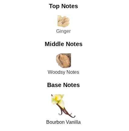 Azzaro The Most Wanted Parfum