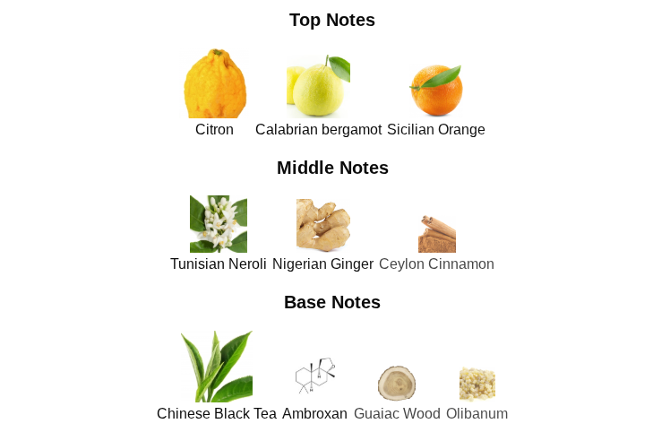 Louis Vuitton Imagination