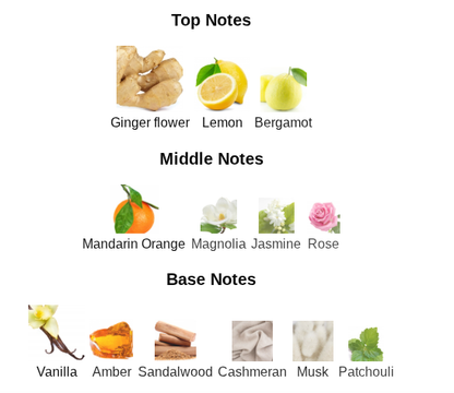 Goldfield and Banks Ingenious Ginger